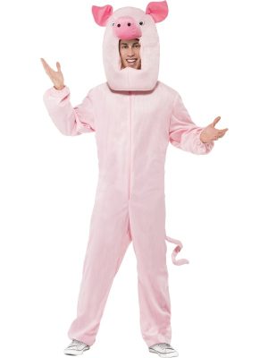 Sjov Gris Kostume