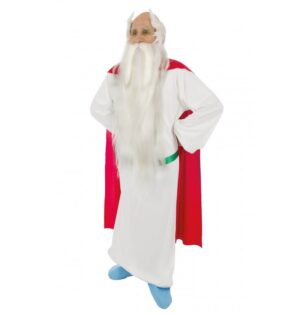 AsterixÂ® Getafix Kostume