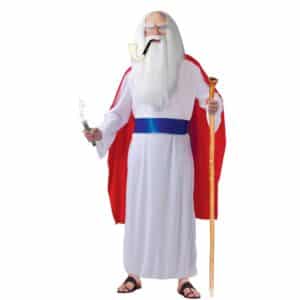 Trylledrik Druide Kostume